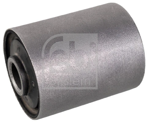Bushing, leaf spring